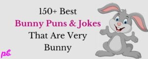 150+ Best Bunny Puns & Jokes That Are Very Bunny