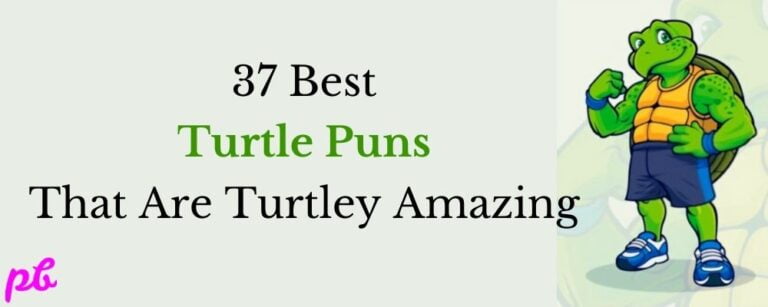37 Best Turtle Puns That Are Turtley Amazing