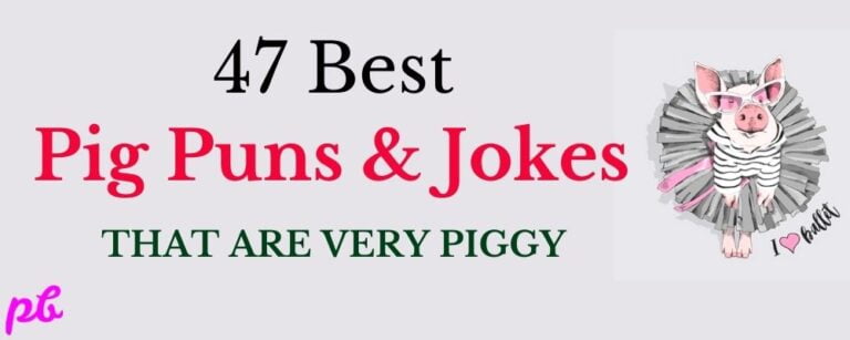 47 Best Pig Puns & Jokes