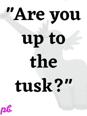 Are you up to the tusk