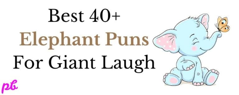 Best Elephant Puns For Giant Laugh