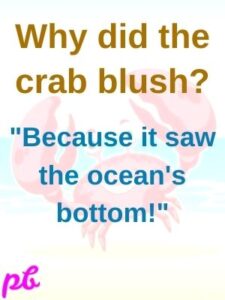 Best 90+ Punny Crab Puns & Jokes For Adults | One Liners | 2024 | Best.Puns