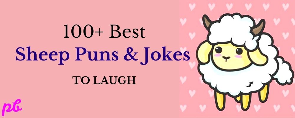 100+ Best Sheep Puns & Jokes | Dirty | Flock | One Liner | Kids, Adults |  2023 
