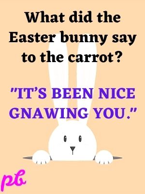 bunny puns