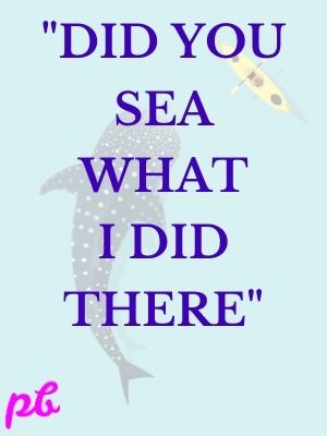 Did you sea what i did there