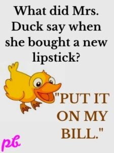 33 Funny Duck Puns That Will Quack You Up 2023 | Best.Puns