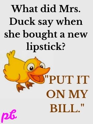 Funny Duck Puns 
