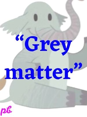 Grey matter.
