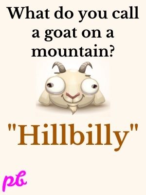 Goat Jokes Riddles