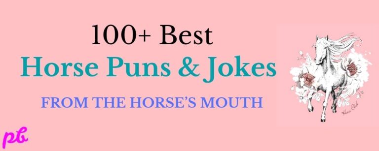 Horse Puns & Jokes