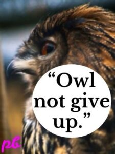 60+ Best Owl Puns Jokes To Hoot With Laughter | Names | Funny 2024 ...