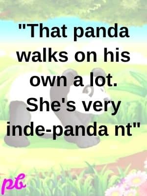 panda puns
