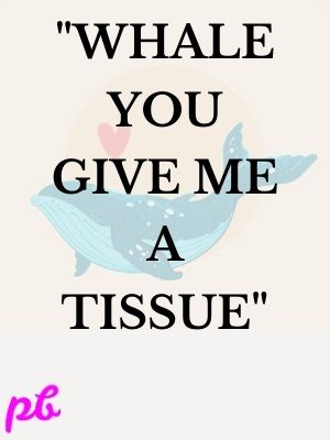 Whale you give me a tissue