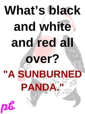 sunburnt panda puns