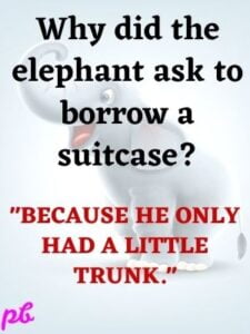 Best Elephant Puns For Giant Laugh Best Puns