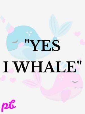 Yes I whale