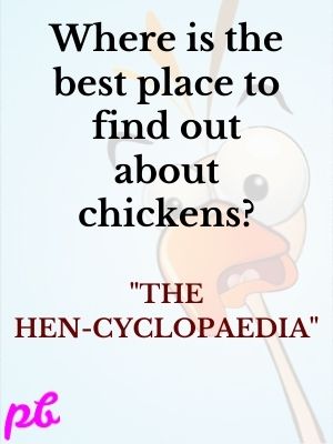 Hen-cyclopaedia
