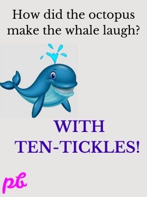 octopus make the whale laugh