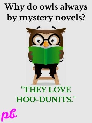 owls mystery novels