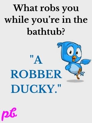 Funny Bird Riddle