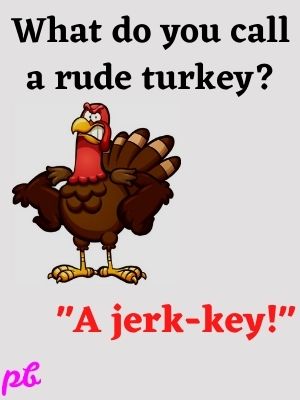 Turkey Jokes Riddles