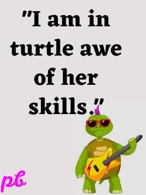 turtle awe of her skills