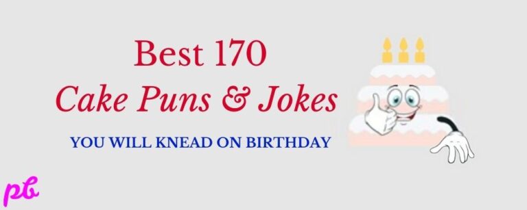 Cake Puns & Jokes