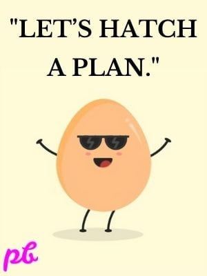 Let’s hatch a plan.