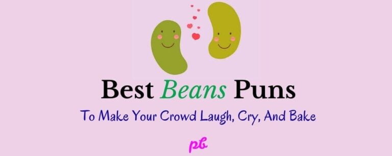Best Beans Puns Jokes