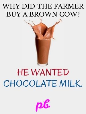 100+ Best Chocolate Puns, Jokes & Funny Riddles 2023 