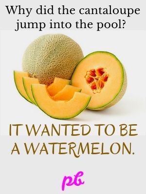 Pool Watermelon Puns Riddles