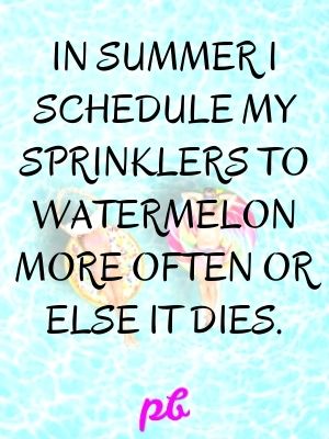 Punny Watermelon Summer Jokes