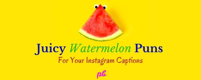 Watermelon Puns For Instagram Captions