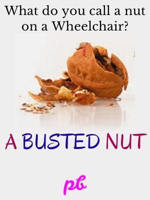 Wheelchair Nut Jokes Riddles