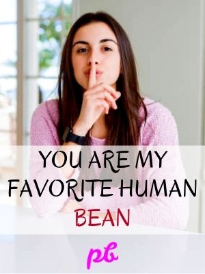 You Are My Favorite Bean Joke