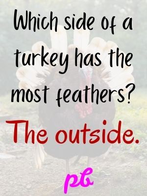 Adults Thanksgiving Jokes And Riddles