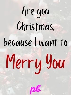 Cute Clean Christmas Pick Up Lines