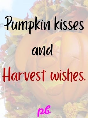 Cute Thanksgiving Sayings Images