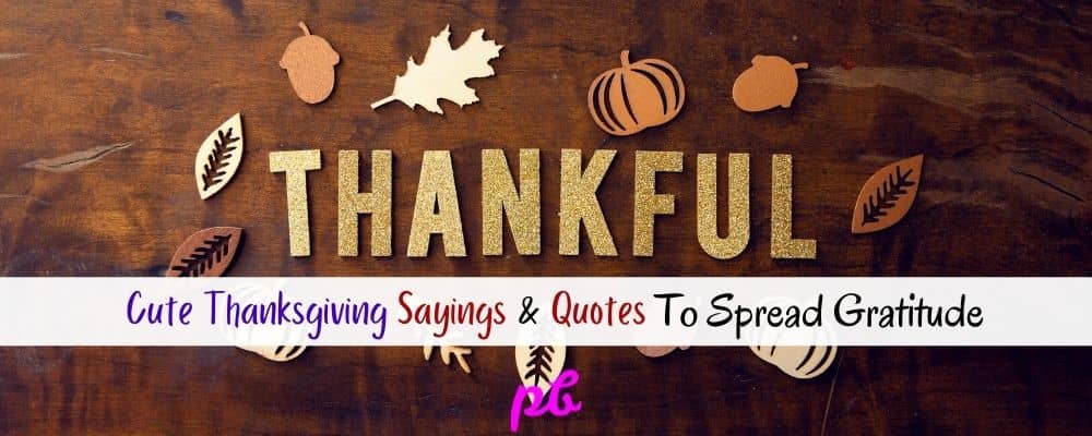 Cute Thanksgiving Sayings & Quotes