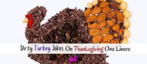 Thanksgiving turkey recipes in roaster