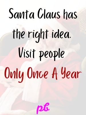 100+ Funny Christmas Quotes For Bright Spirits Until New Year 2023 |  