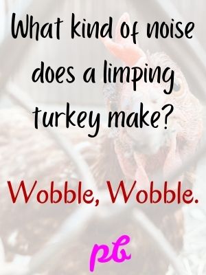 Thanksgiving Lunch Box Jokes Memes