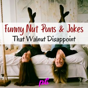 Funny Nut Puns Jokes