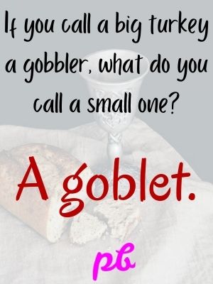 Funny Thanksgiving Riddles For Kids
