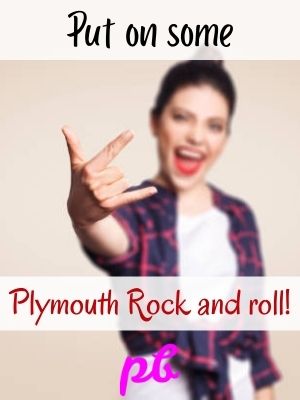 Plymouth Rock Meme on Thanksgiving 