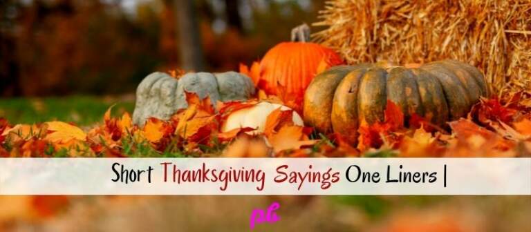 Thanksgiving Sayings Short