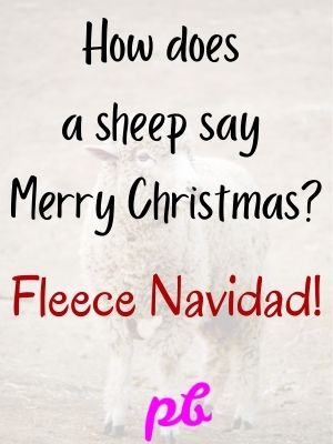 Best Christmas Puns For Kids Friendly