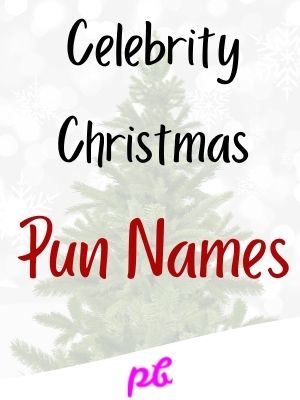 Celebrity Christmas Pun Names