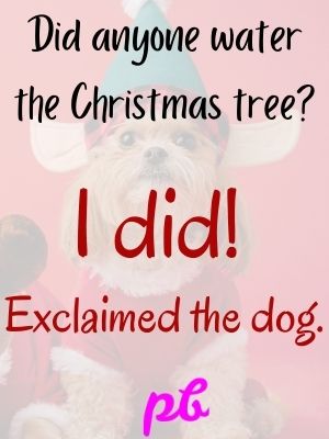 Christmas Dog Jokes