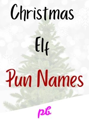 Christmas Elf Pun Names